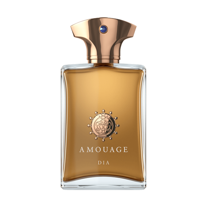 Amouage Dia For Men Eau De Parfum 100ML 2023